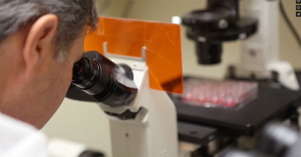Research looks through stethoscope during Phase 1 Clinical trials