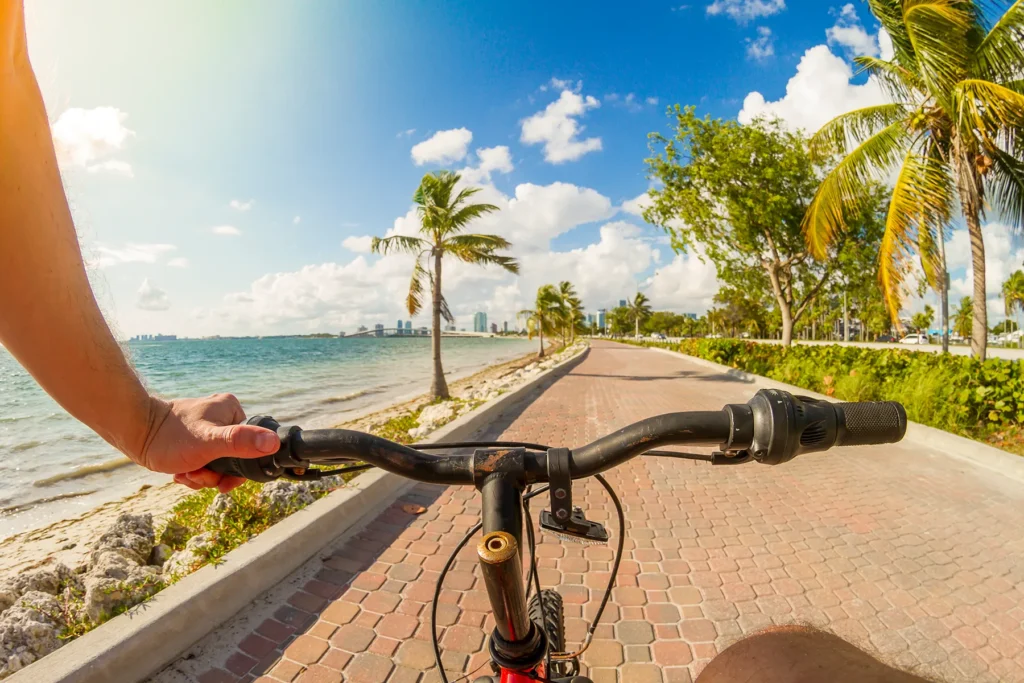 Cyclist's view on a brick coastal path, lined with palm trees and a bay, with a city skyline visible under a sunny blue sky.