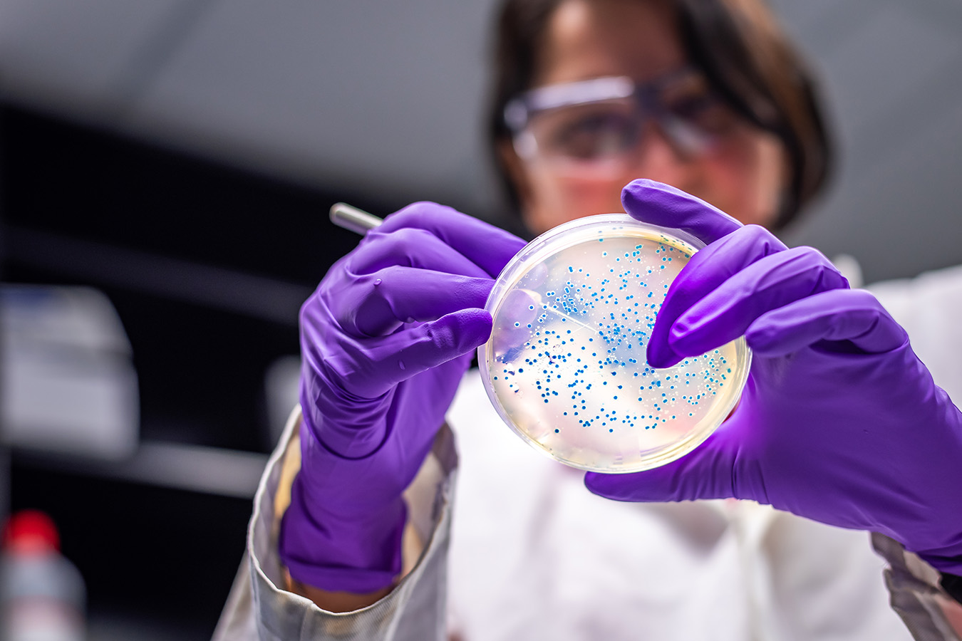Researcher in lab studies superbugs