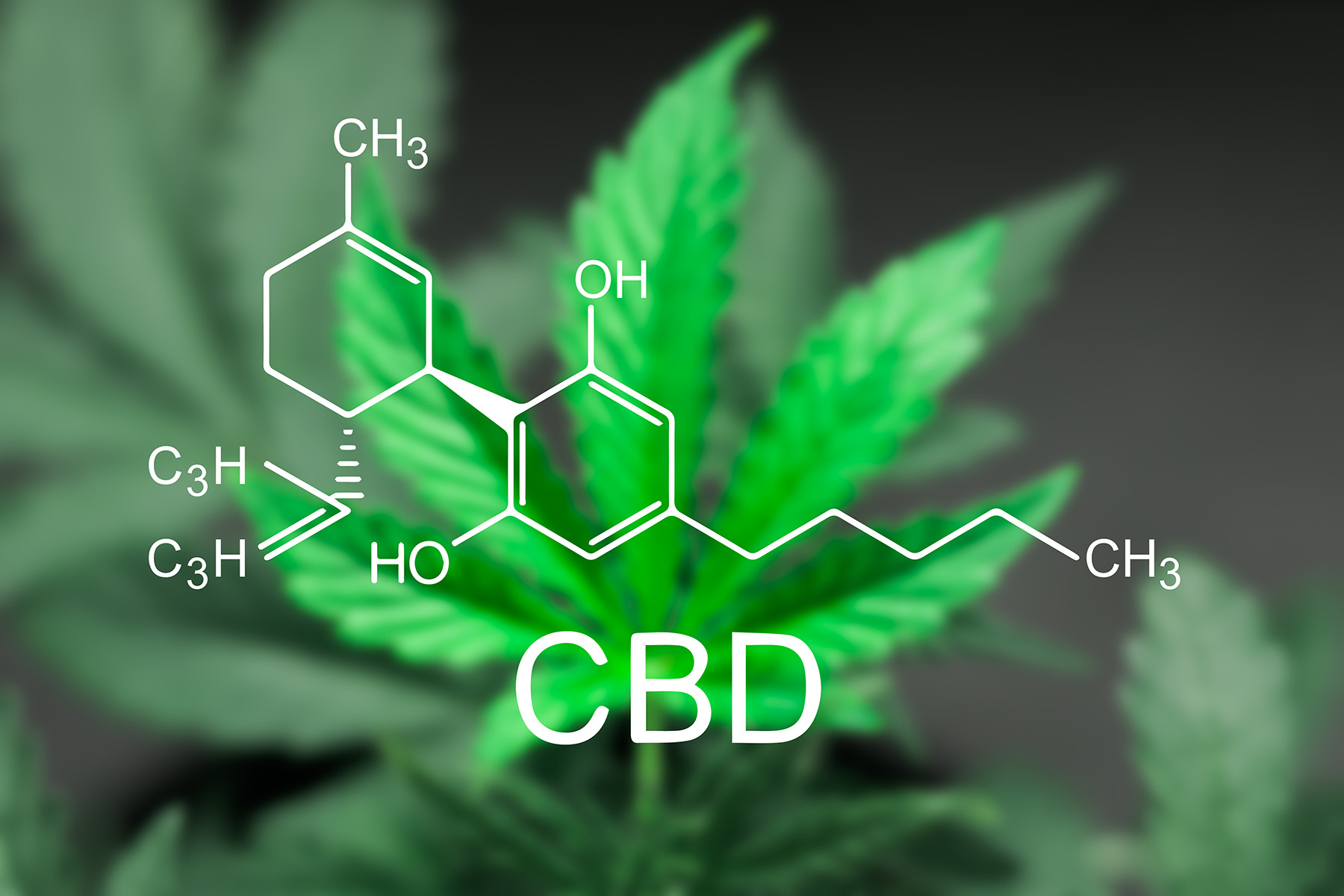 CBD outline over a blurry cannabis leaf