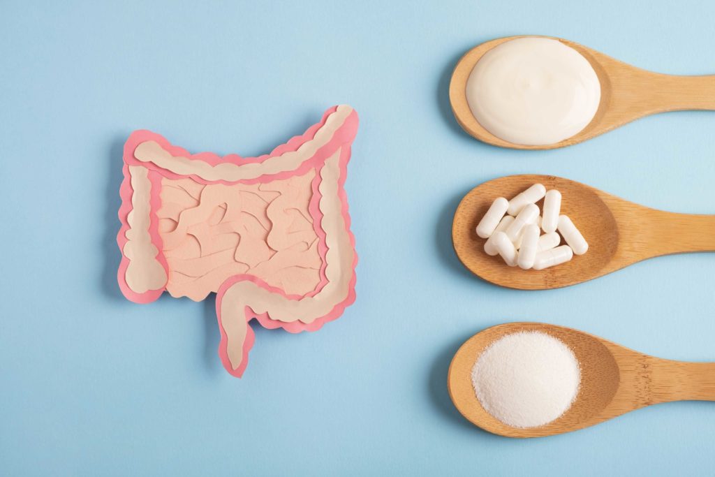 Graphic that illustrates the gut microbiome with three spoons holding salt and vitamins