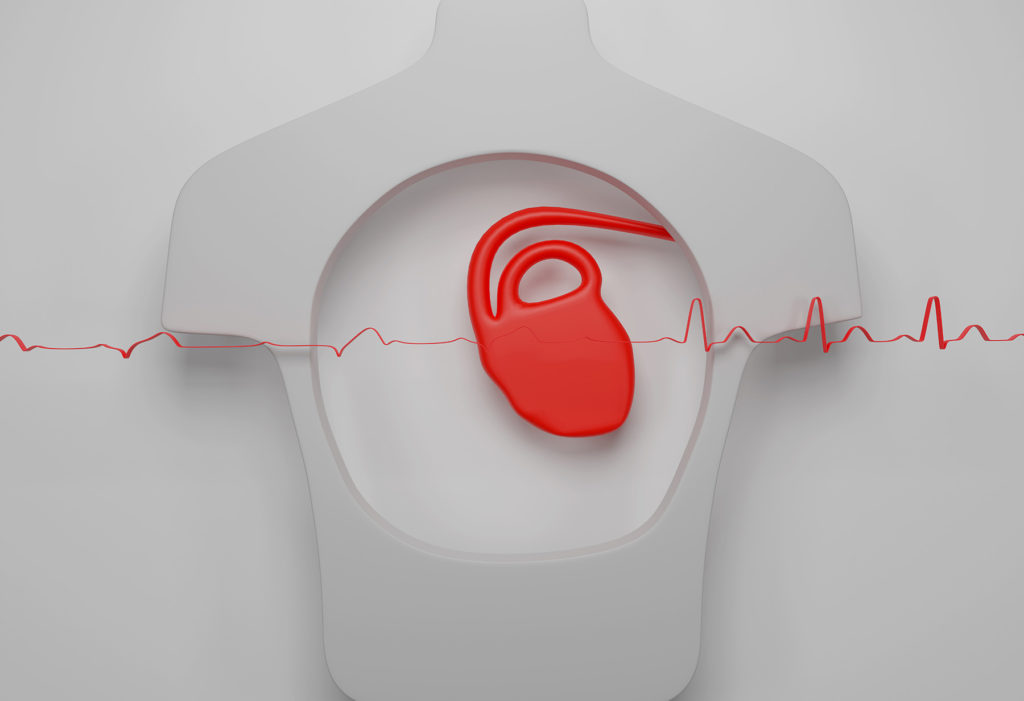 Graphic of the heart as an internal organ. White background