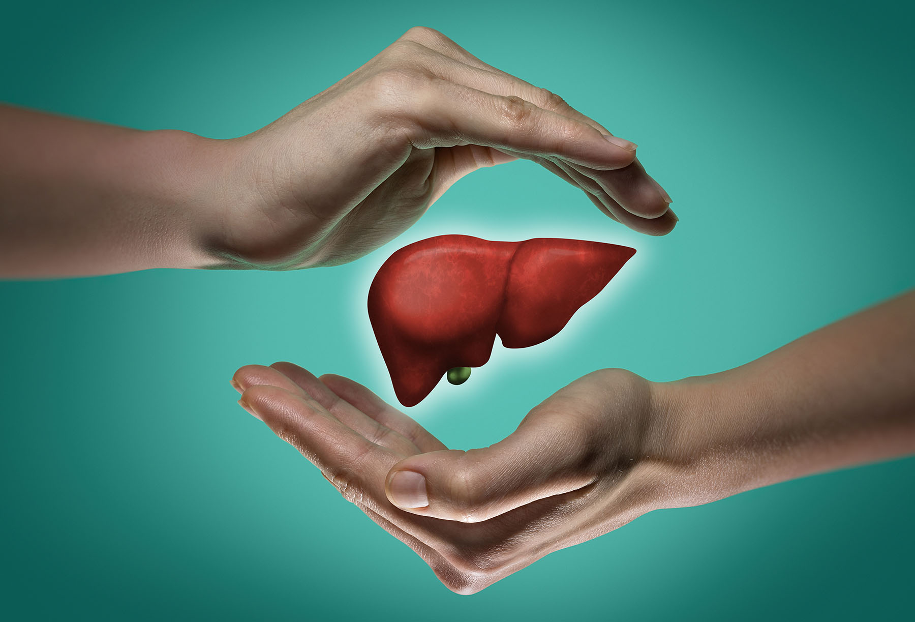 Image of hands forming a protective barrier around a healthy liver against a green background.