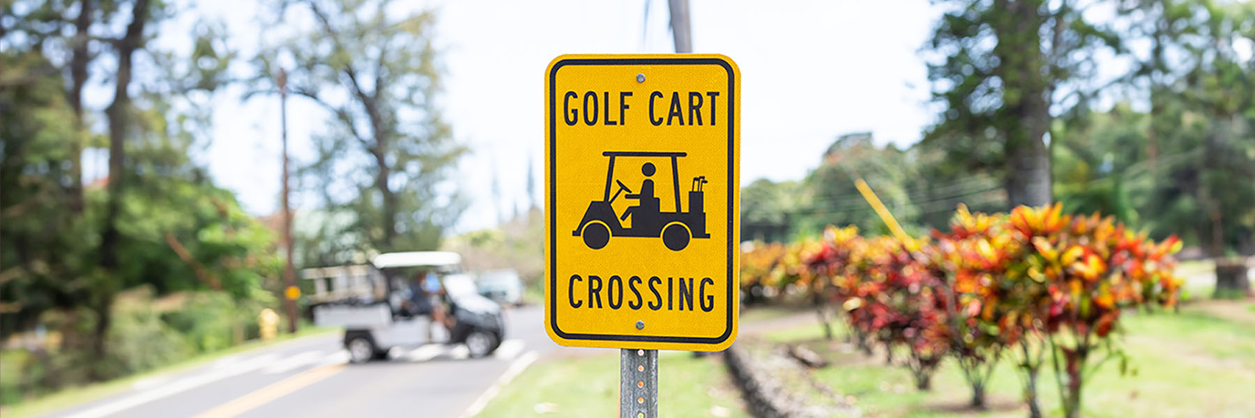 picture representing golf cart safety for kids