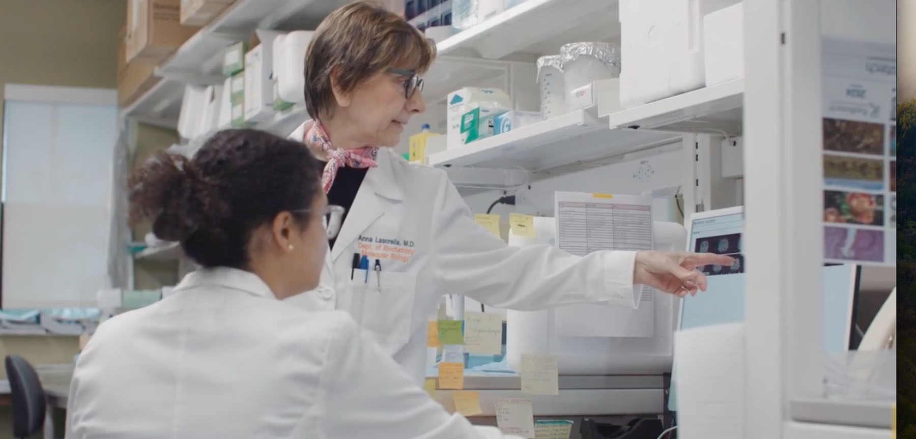 researchers at the sylvester brain tumor institute