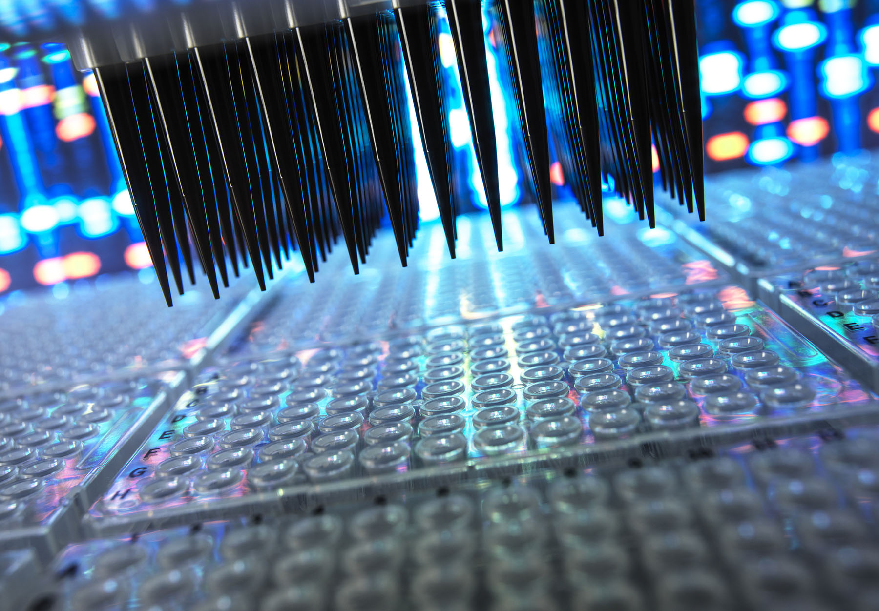 Scientific samples in microplate being prepared for research in laboratory