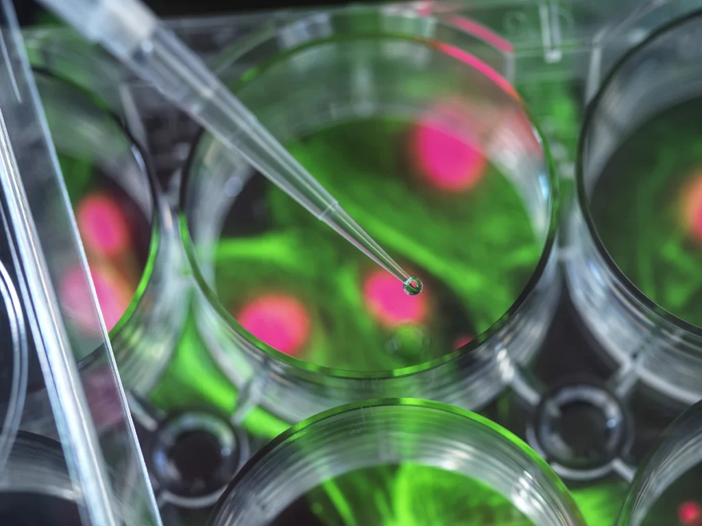 Pipetting sample into multi well plate containing micrograph of cell - stock photo