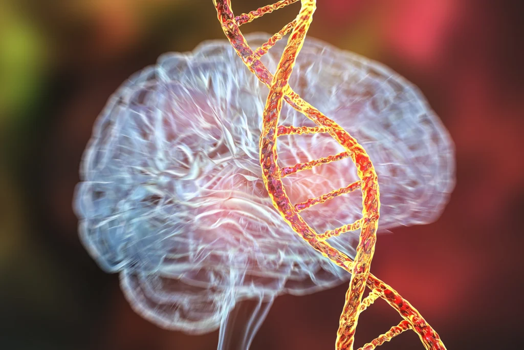 Genetic brain disorders, conceptual computer illustration. Mutations in the DNA leading to brain diseases. Neurogenetics, neurodegenerative disorders.